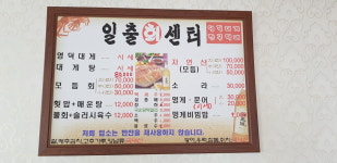 일출 회 타운