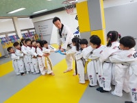 연일경희라이온태권도