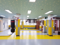 연일경희라이온태권도