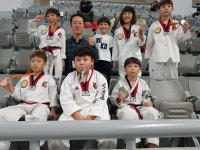 연일경희라이온태권도