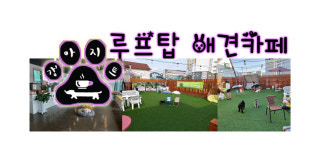 강아지트