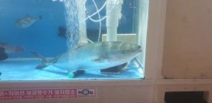 공원회센타