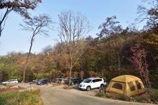 태학산자연휴양림 오토캠핑장