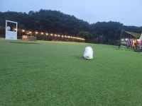 레인바우 세종연서점