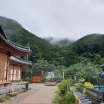 예촌