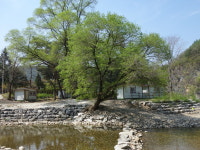 개미들솔향기야영장