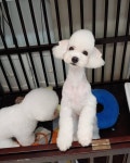 쓰담쓰담