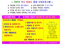 경희대석사태권도