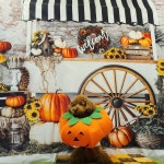 개떼놀이터 남양주 애견운동장 강아지놀이터 펫 반려견