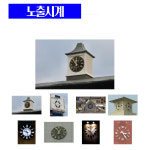 이일사