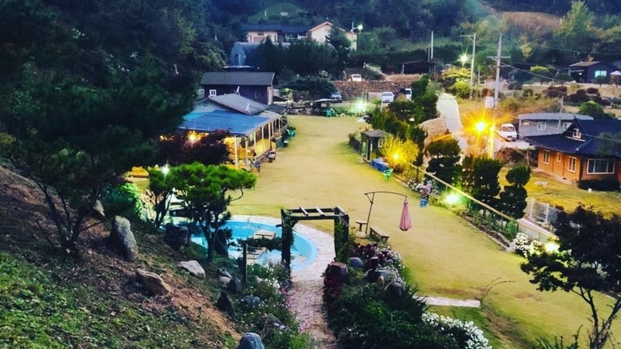 놀개 애견운동장