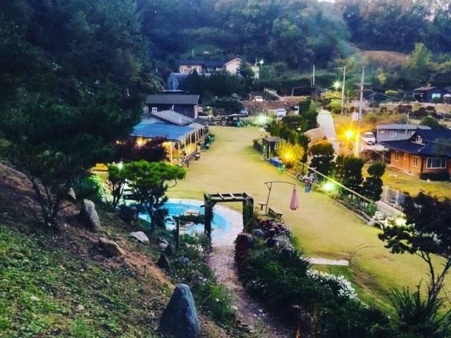 놀개 애견운동장
