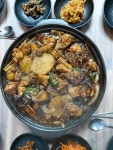 닭마을이야기