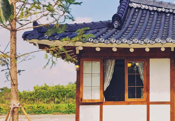 월요 사진