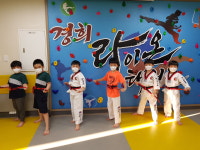 연일경희라이온태권도