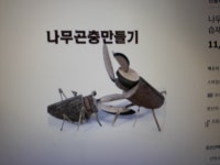 꿈애곤충농원