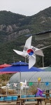 촌닭