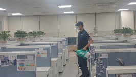 그린라인