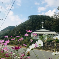 영동대흥교회