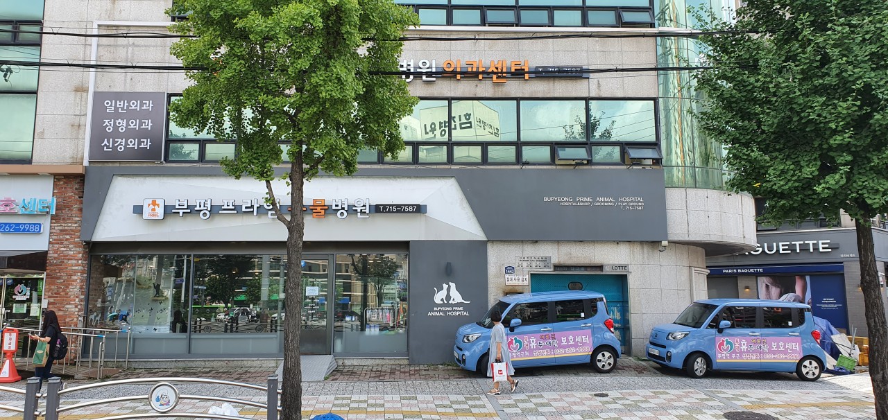 부평프라임동물병원