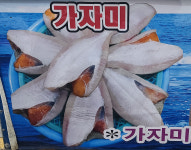 구룡포가자미