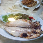 제주항1950 사우점