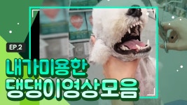 펫피플