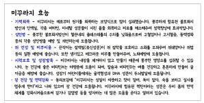 윤혜정 추어 다슬기 손칼제비