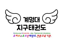 TEAM JTA 지구태권도