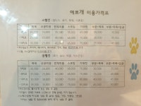 예쁘개미용