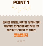 펫브릿지호텔 미용 유치원 놀이방