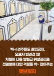 펫브릿지호텔 미용 유치원 놀이방