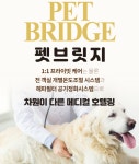 펫브릿지호텔 미용 유치원 놀이방