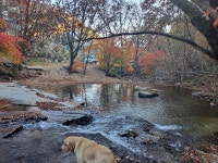용포동 산장 펜션