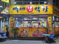 백세참막창