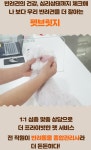 펫브릿지호텔 미용 유치원 놀이방