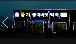둠지능이버섯백숙