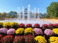 강원특별자치도립화목원