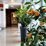 드라포레 해운대 마린시티점