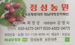 정성농원 보은대추