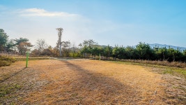 산울터애견펜션