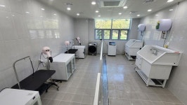 울산 반려동물 문화센터 애니언파크