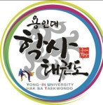 용인대학사태권도