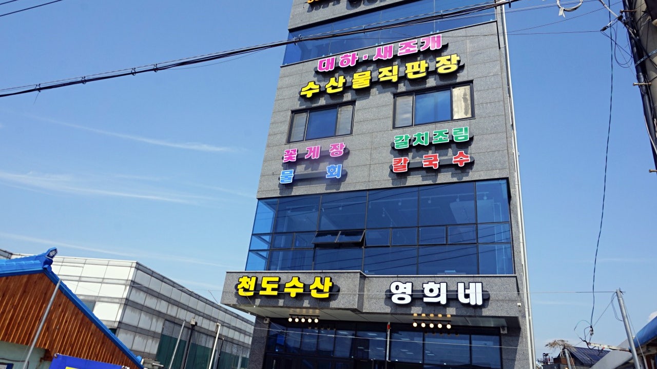 천도수산영희네2