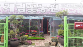 계림꽃농원