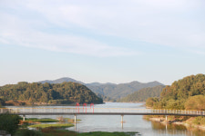 하늘바람꽃농원