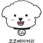 코코베이커리 강아지케이크 강아지생일케이크