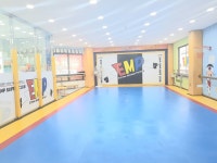 슈퍼스타 태권도