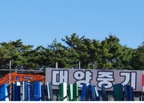 대양중기