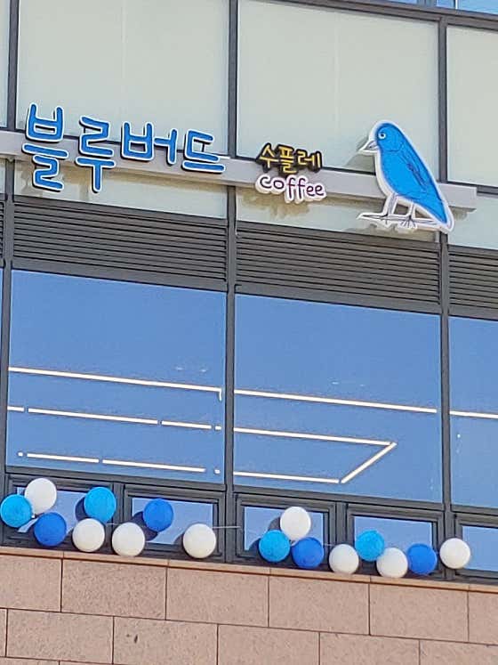 블루버드수플레 사진